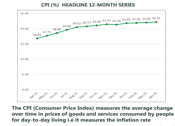 Nigeria's Inflation Grows By 0.18% To Hit 22.22% - Africa News Watch